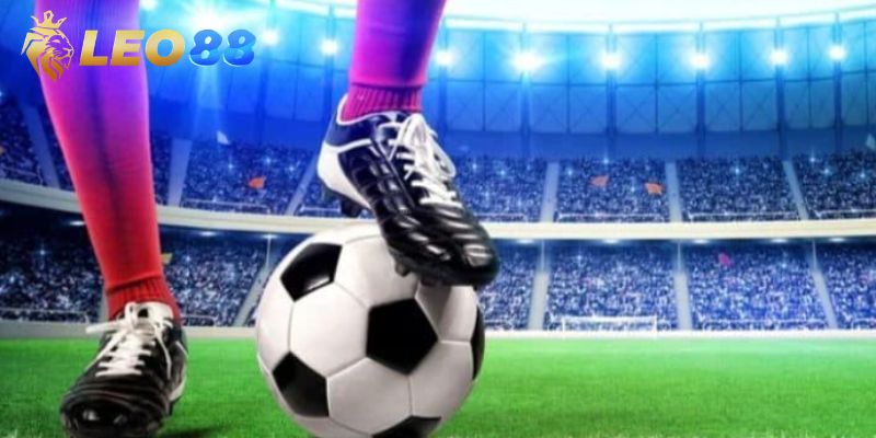Chiến thuật chơi cá độ ăn thưởng đậm