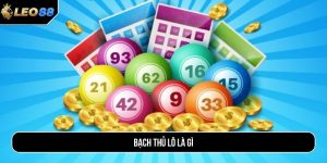 Bạch thủ lô là gì