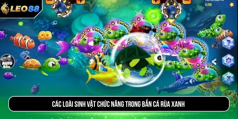 Các loài sinh vật chức năng trong bắn cá rùa xanh
