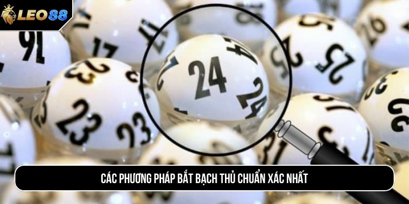 Các phương pháp bắt bạch thủ chuẩn xác nhất