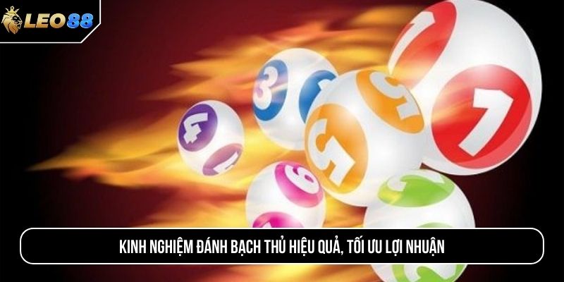Kinh nghiệm đánh bạch thủ hiệu quả, tối ưu lợi nhuận
