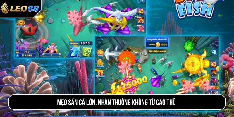 Mẹo săn cá lớn, nhận thưởng khủng từ cao thủ