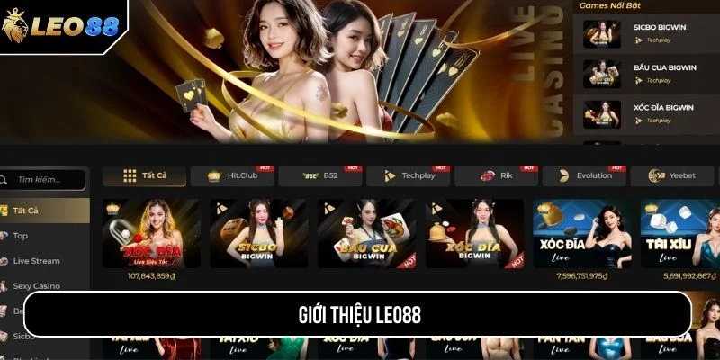 Thông tin giới thiệu LEO88