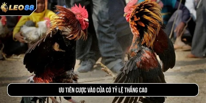 Ưu tiên cược vào cửa có tỷ lệ thắng cao